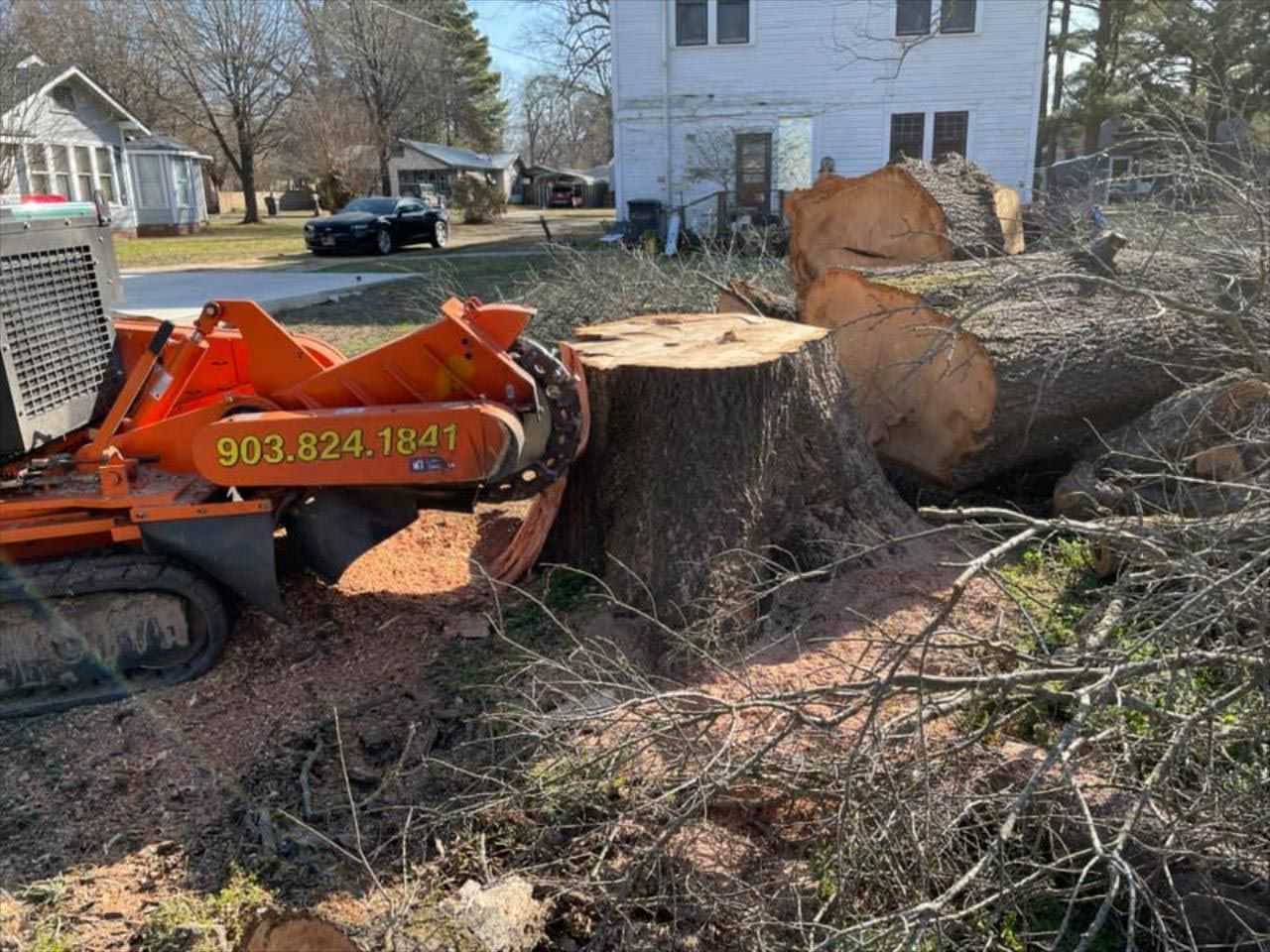A stump grinder is cutting a large tree stump in front of a house.