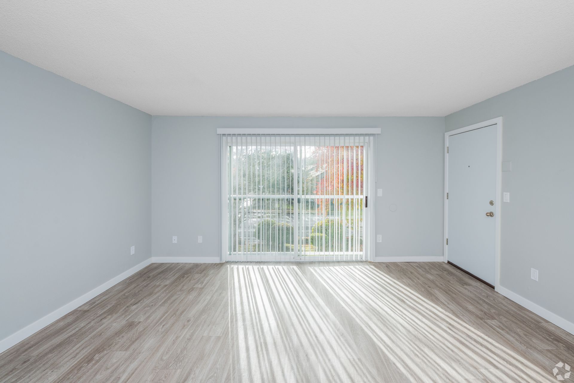 A bright room with light grey walls, wood-look flooring, a glass sliding door, and a white entrance door.