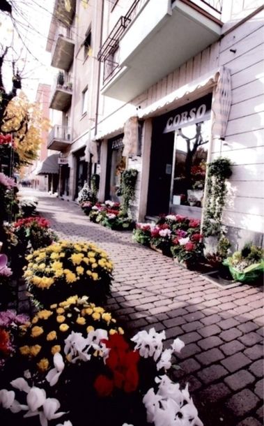 facciata esterna negozio di fiori