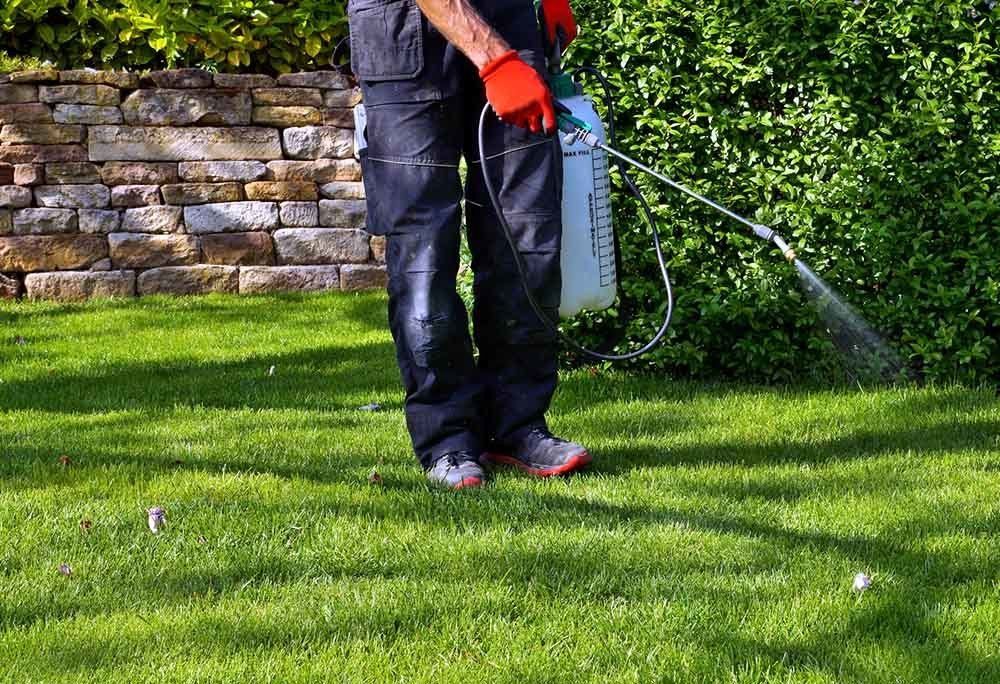 Spraying Pesticide on the Grass — Dayton, TX — Precision Lawns