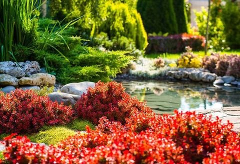 Beautiful Plants and Flowers — Dayton, TX — Precision Lawns