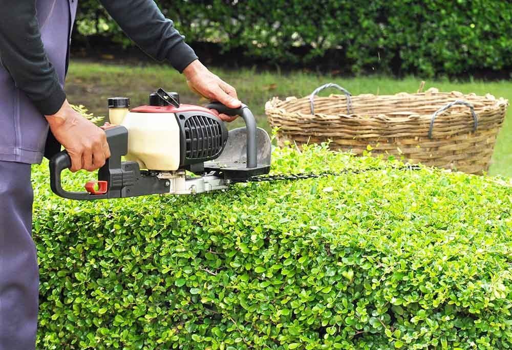 Gardener Trimming Green Bush — Dayton, TX — Precision Lawns