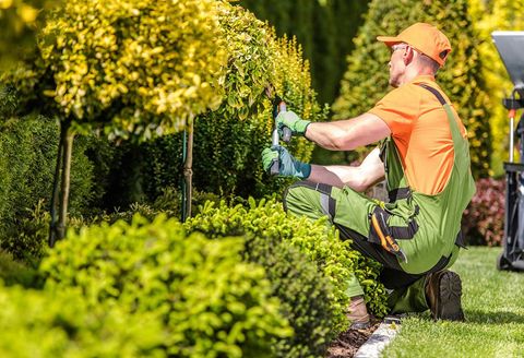 Garden Worker Trimming Plants — Dayton, TX — Precision Lawns