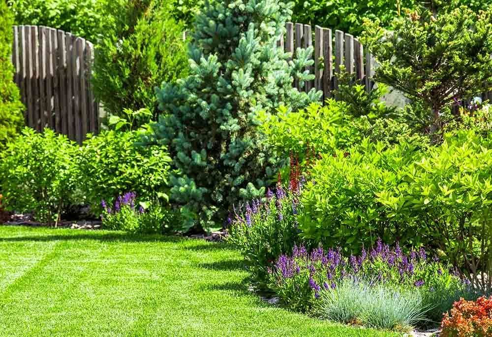 Beautiful Landscaping Design — Dayton, TX — Precision Lawns