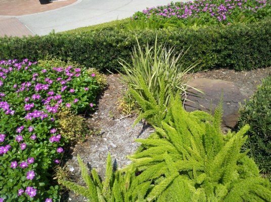 Annual in the Garden — Dayton, TX — Precision Lawns