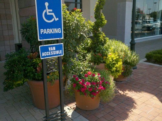 Annuals Plant at the Side of No Parking Sign — Dayton, TX — Precision Lawns