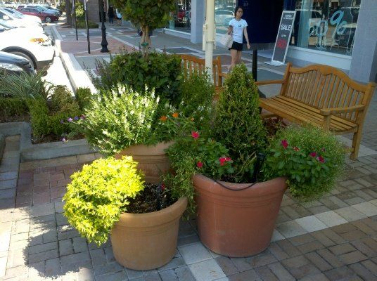 Annuals Plant at the Park — Dayton, TX — Precision Lawns