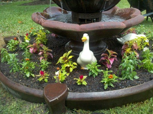 Annuals in the Fountain — Dayton, TX — Precision Lawns