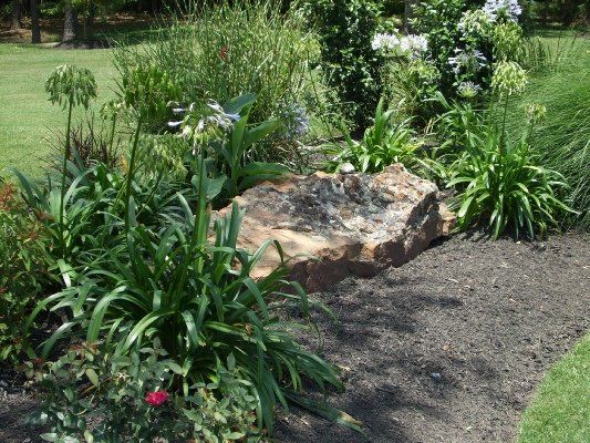 Boulder with Agapanthus — Dayton, TX — Precision Lawns