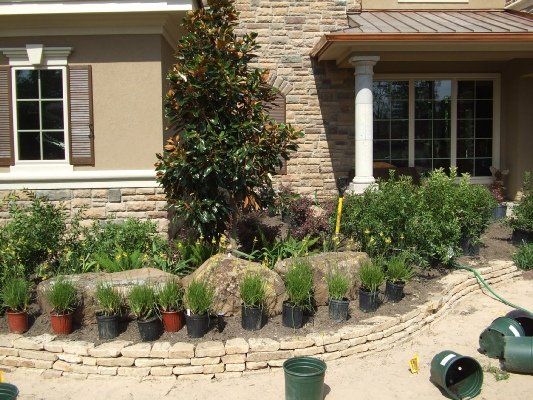 Little Gem Magnolia — Dayton, TX — Precision Lawns