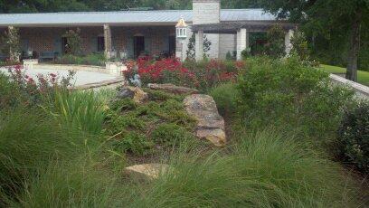 Maiden Grass — Dayton, TX — Precision Lawns