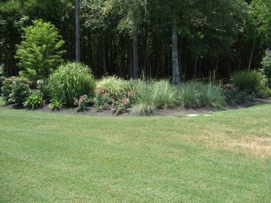 Ornamental Grasses — Dayton, TX — Precision Lawns