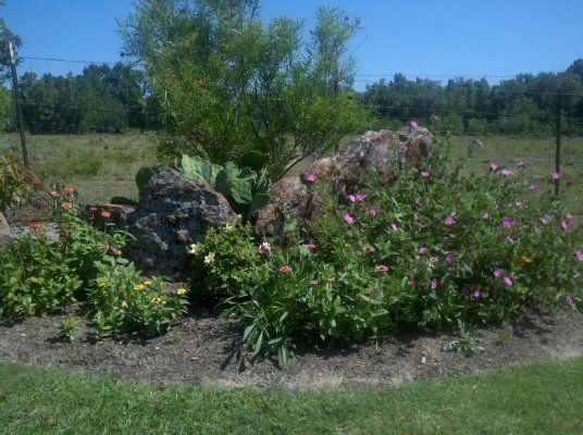 Rock Rose — Dayton, TX — Precision Lawns