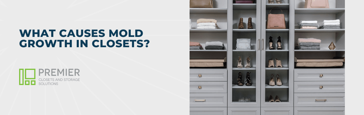 What Causes Mold Growth in Closets?