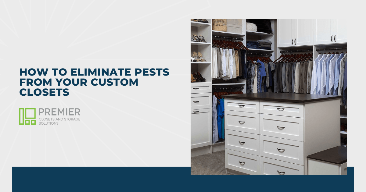 How to Eliminate Pests From Your Custom Closets