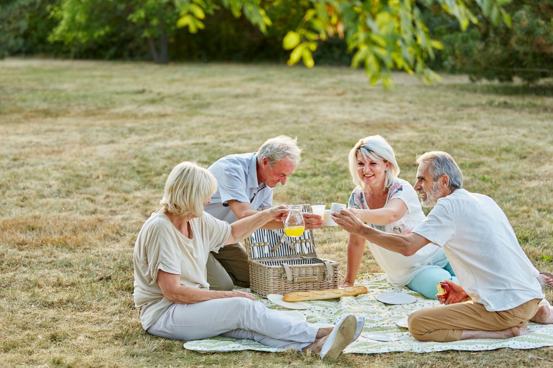 Four older adults toasting drinks at a picnic in a park.