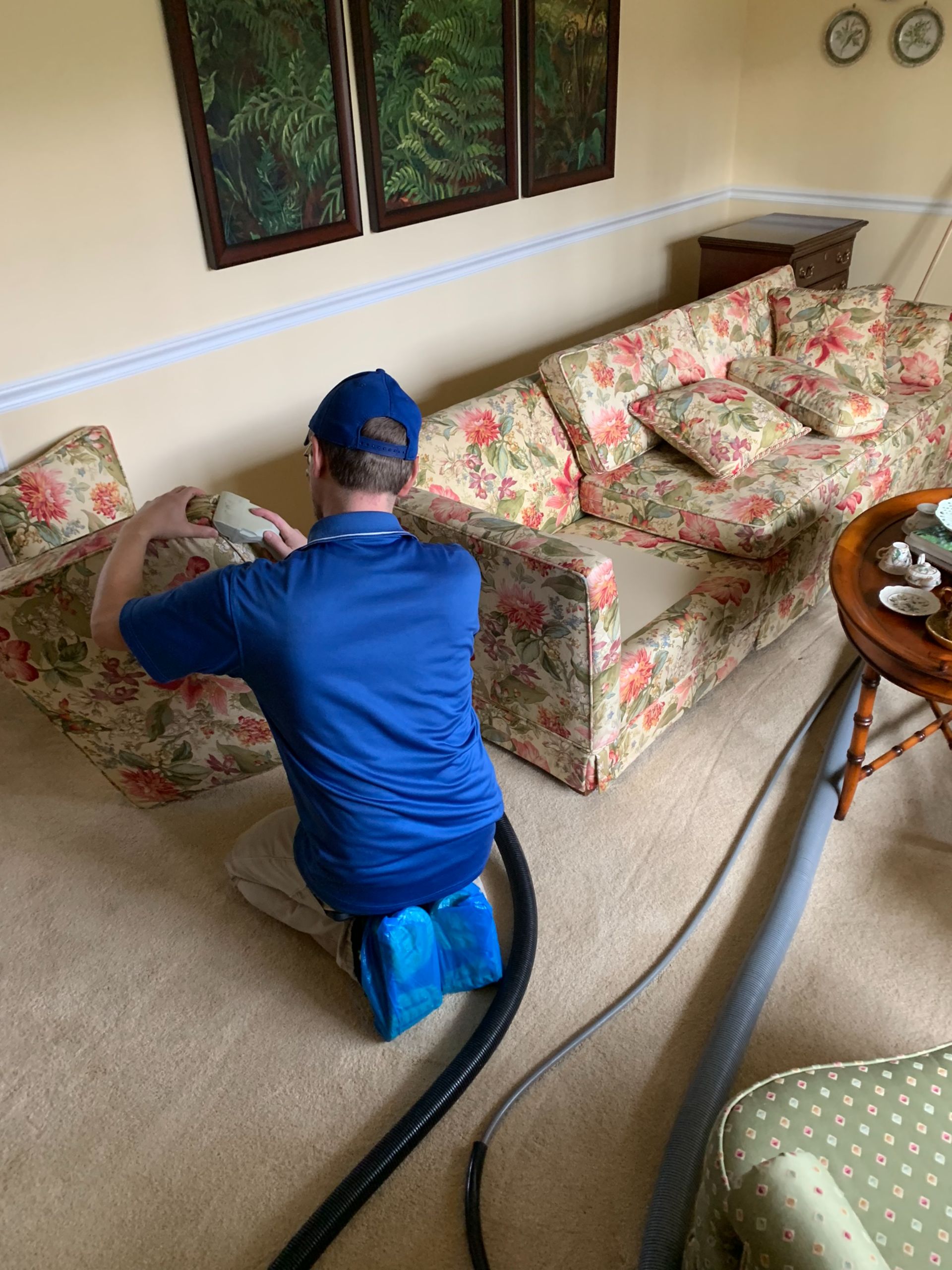 carpet cleaning