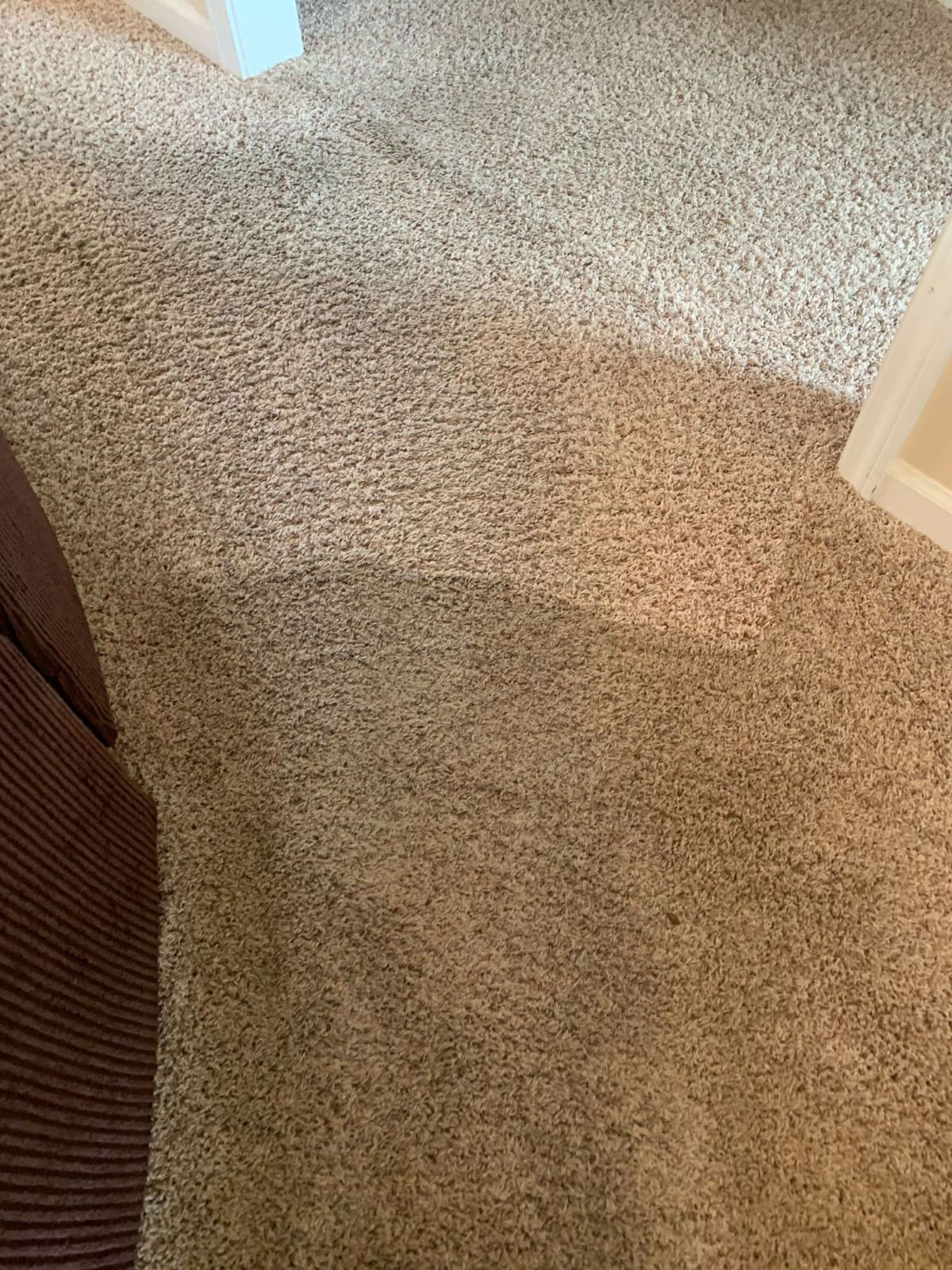 carpet stains