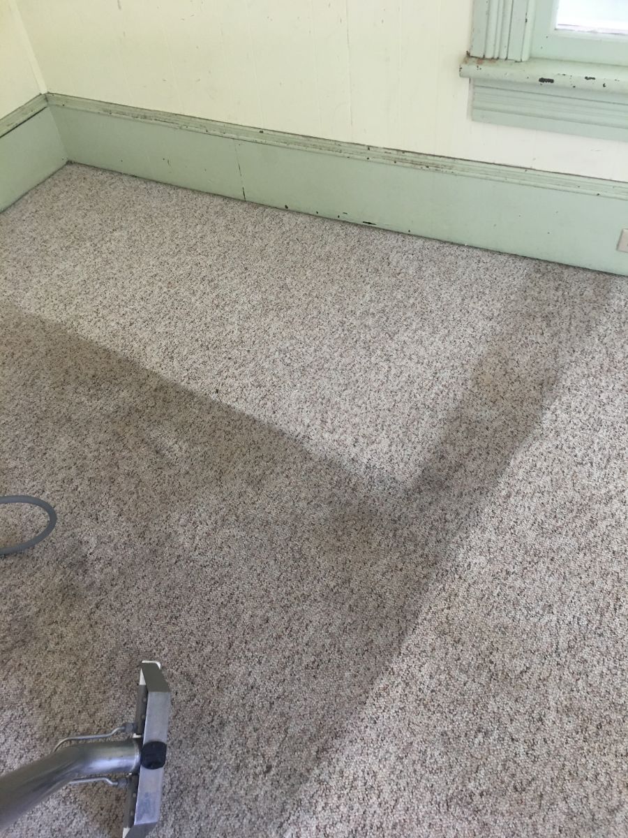 Able Carpet & Rug Cleaning Svc