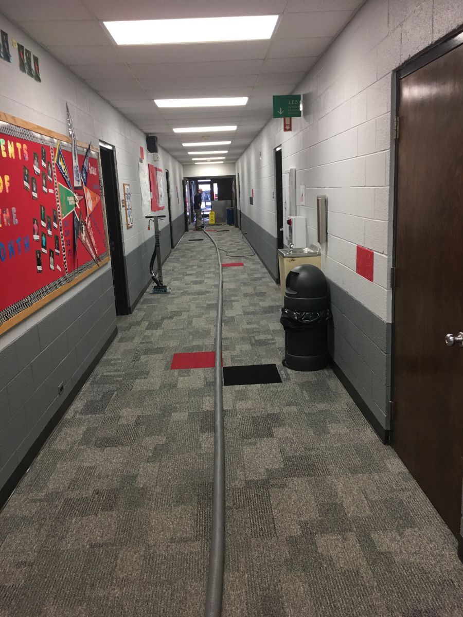 office carpet cleaning