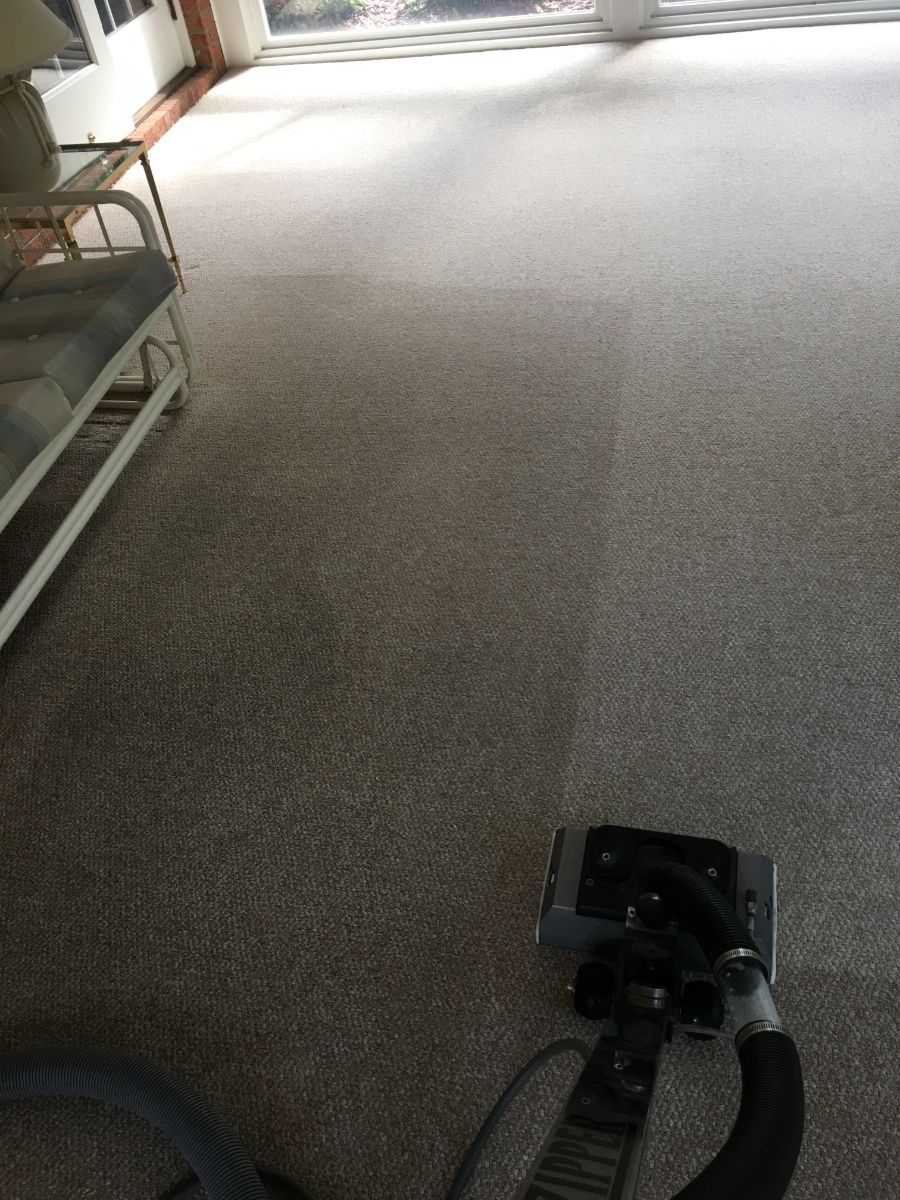 Able Carpet & Rug Cleaning Svc