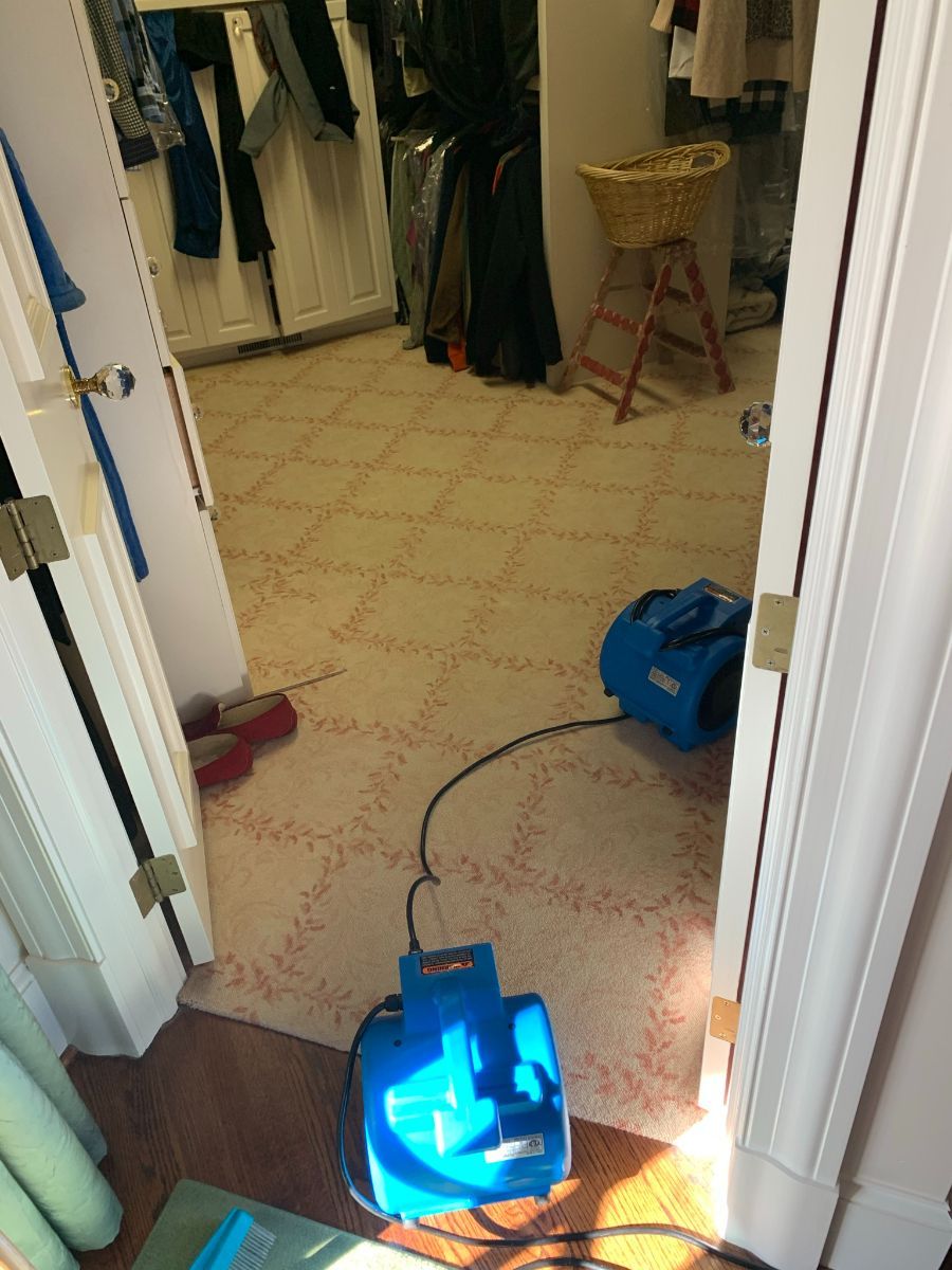 office carpet cleaning