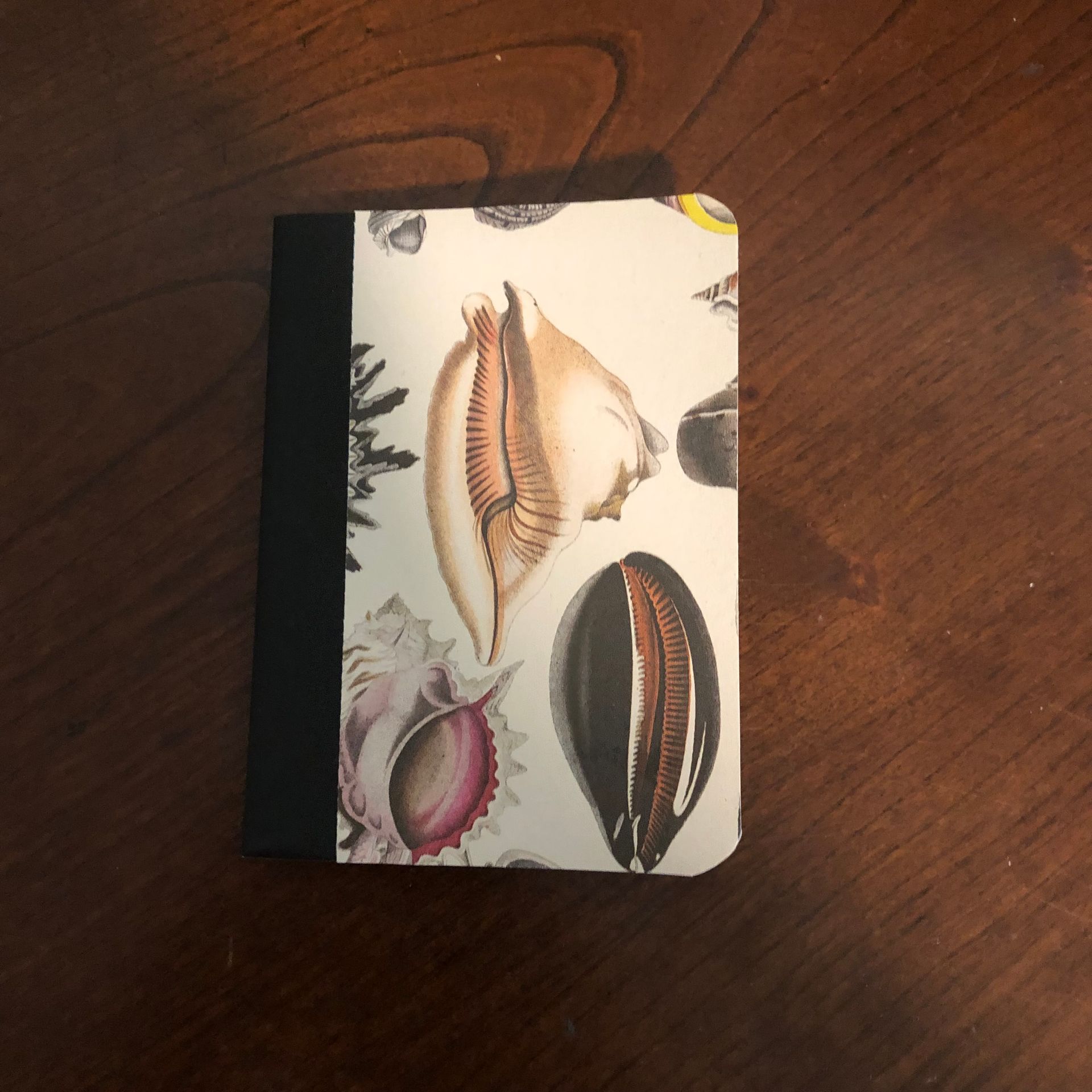Notebook with seashells on cover, black spine, on a wooden surface.
