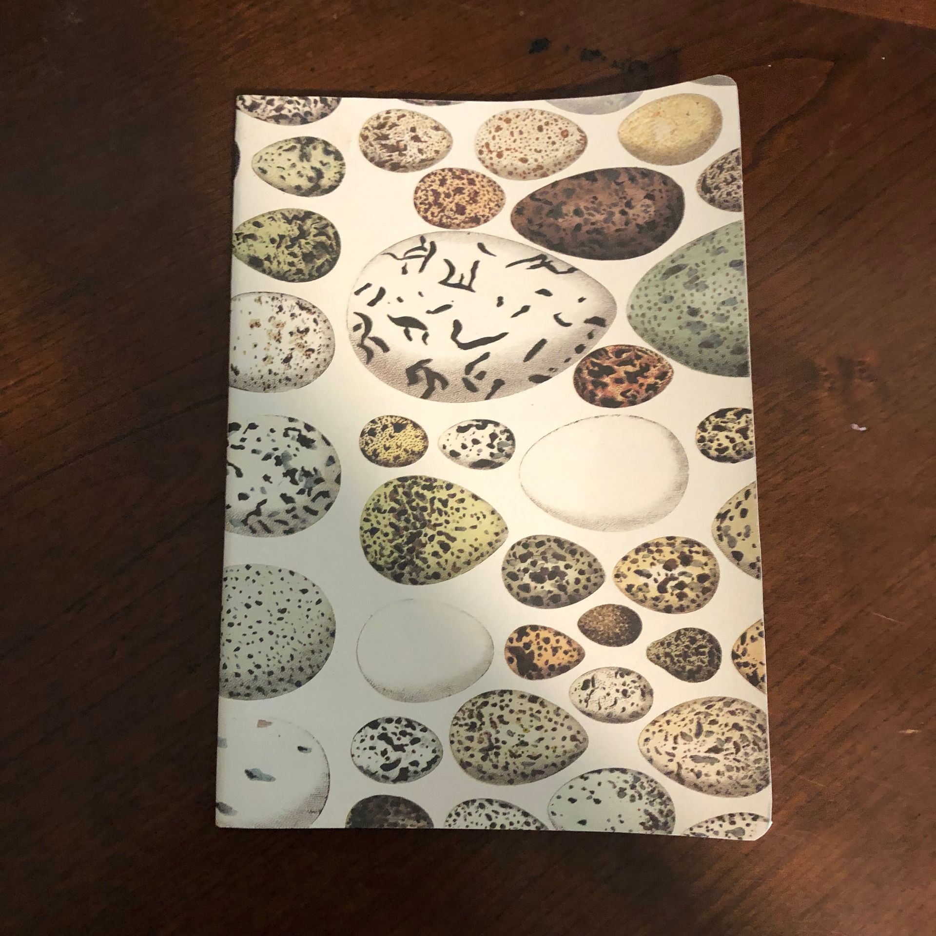 Notebook with a cover featuring a pattern of speckled bird eggs against a white background.