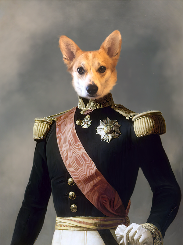 Dog with corgi features in formal military attire, posed against a muted background.