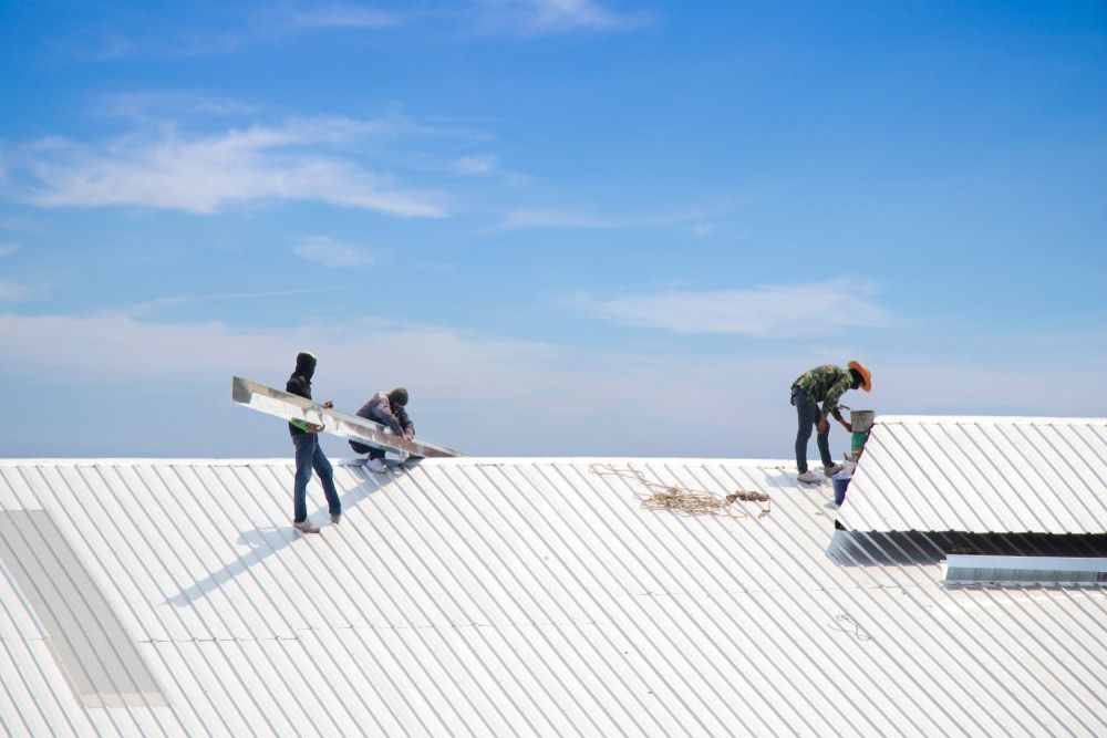 A Group of People Are Working on a White Roof — Ben McLennan Constructions in Byron Bay, NSW