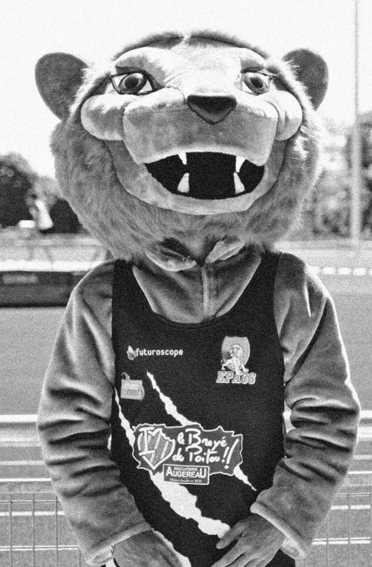 Mascotte de tigre portant un maillot noir avec sponsors, debout sur une piste à fond vert.
