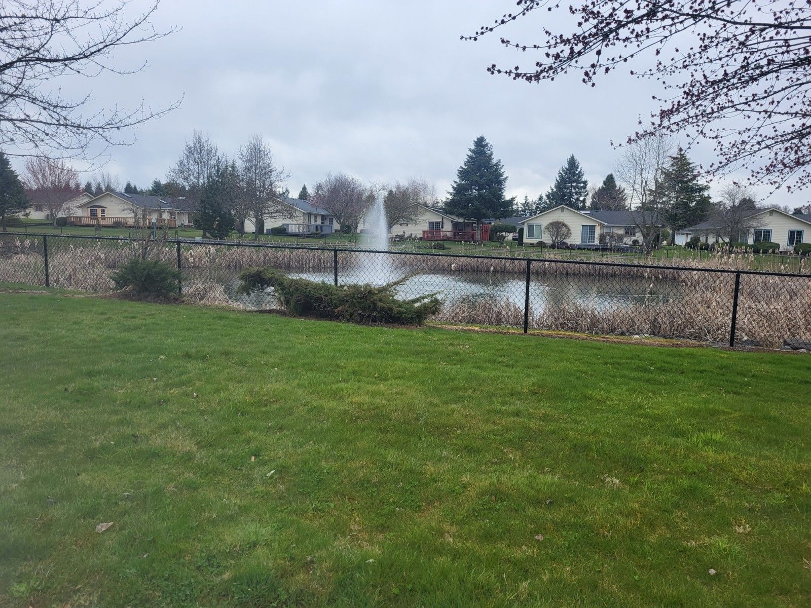 Black Chain Link — Rochester, WA — Chehalis Fencing Inc