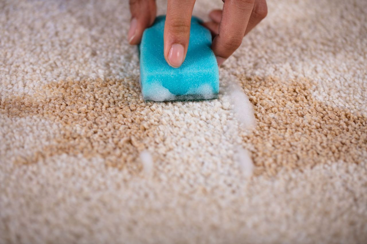 Carpet Cleaning