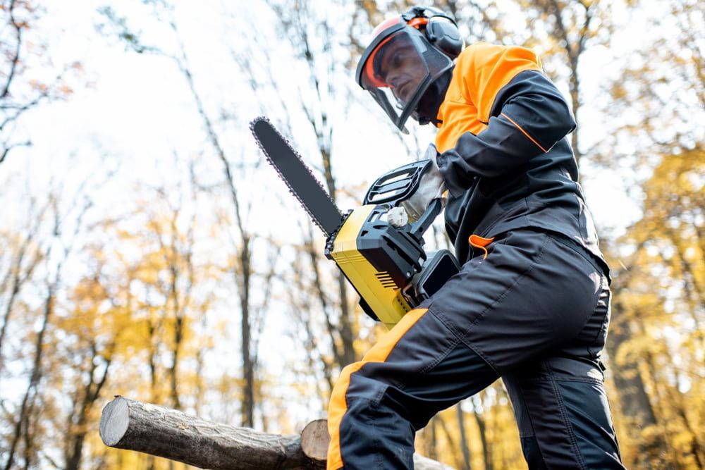 A Man Is Cutting A Log With A Chainsaw In The Woods — All Trades Equipment In Lismore, NSW