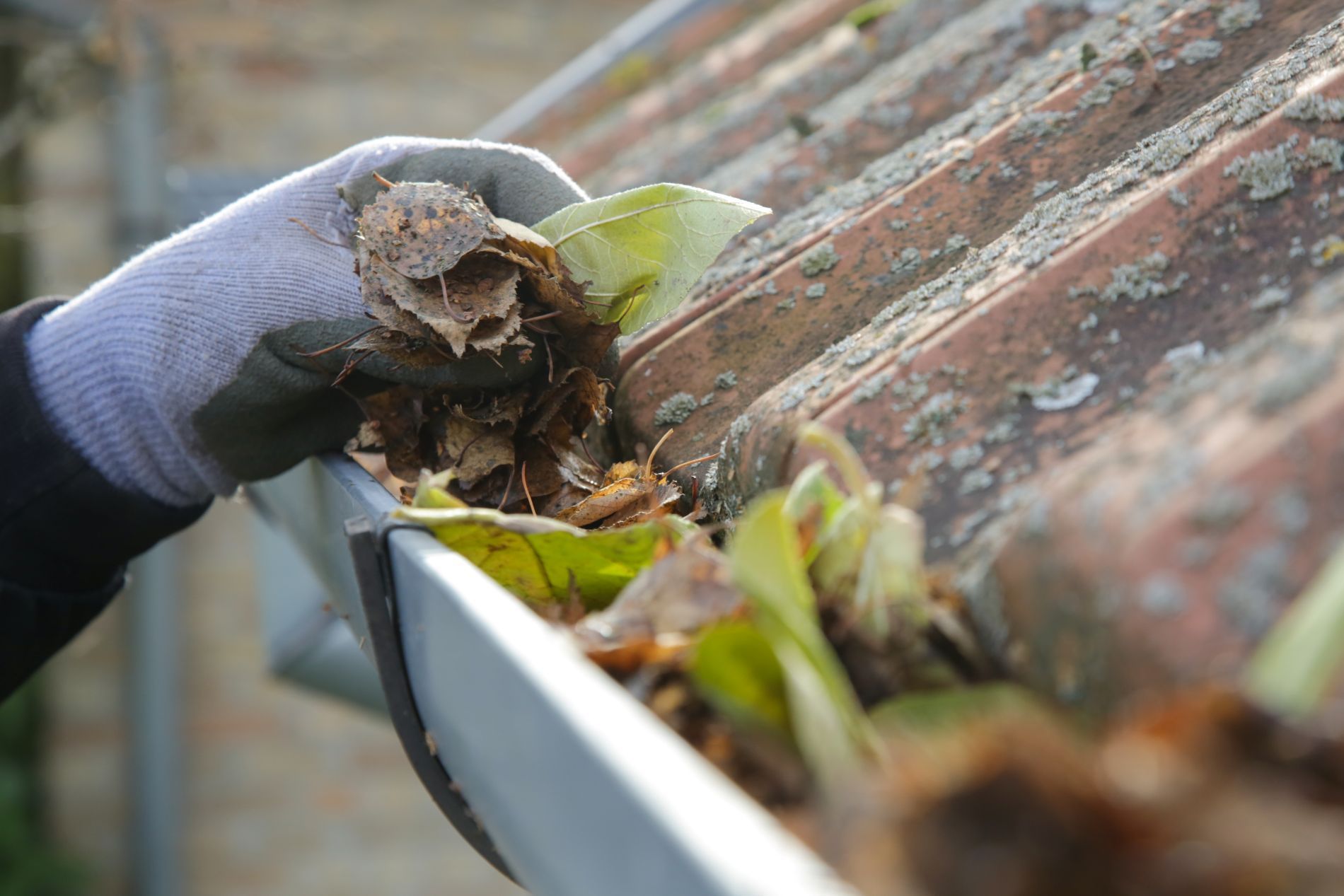 Gloved hand cleaning debris from a rooftop gutter with leaves and dirt.