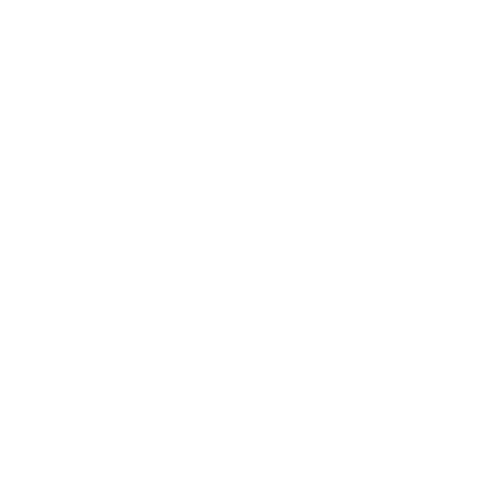 Thieves Run Logo