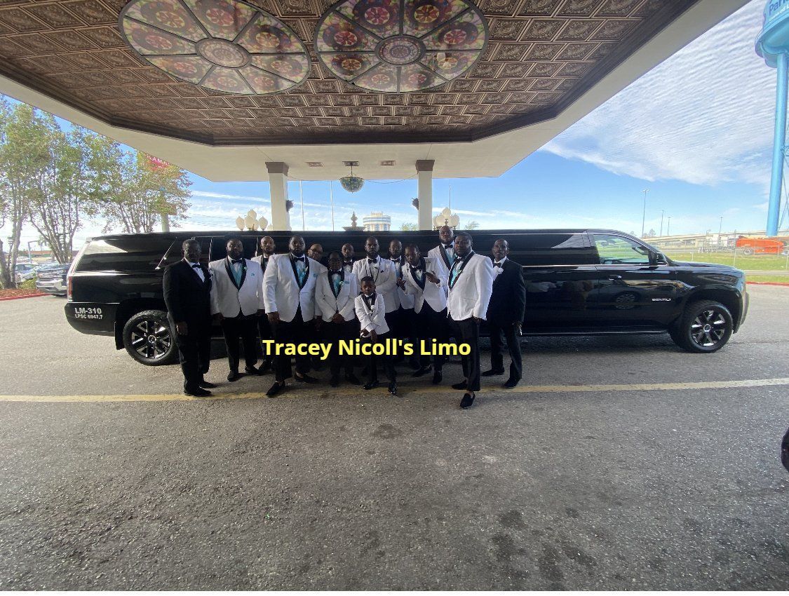 A group of people standing in front of a limousine.