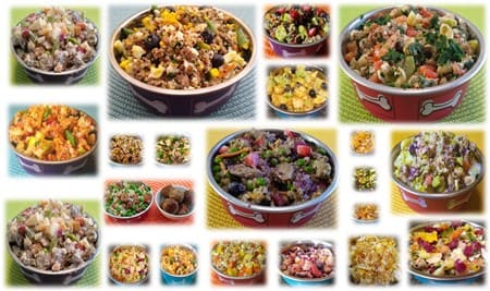 Example of homemade meals for small dogs