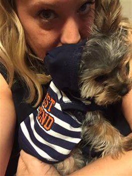 shy Yorkshire Terrier