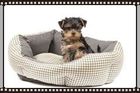 yorkie-puppy-in-dog-bed-