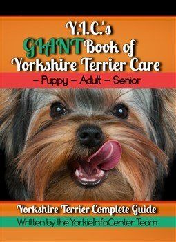 GIANT Book of Yorkshire Terrier Care