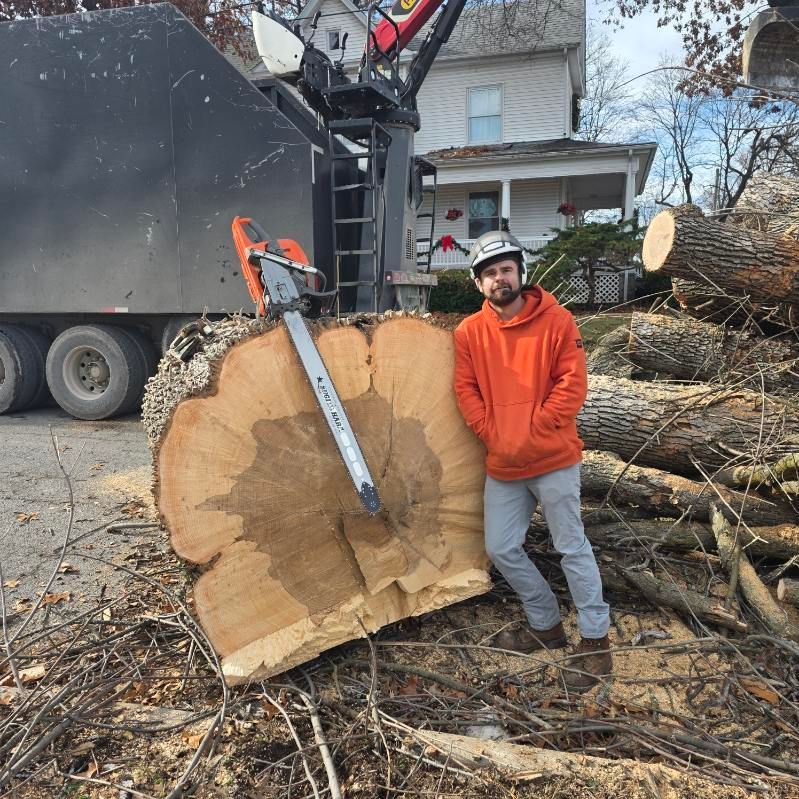 A truck filled with logs is parked on the side of the road.