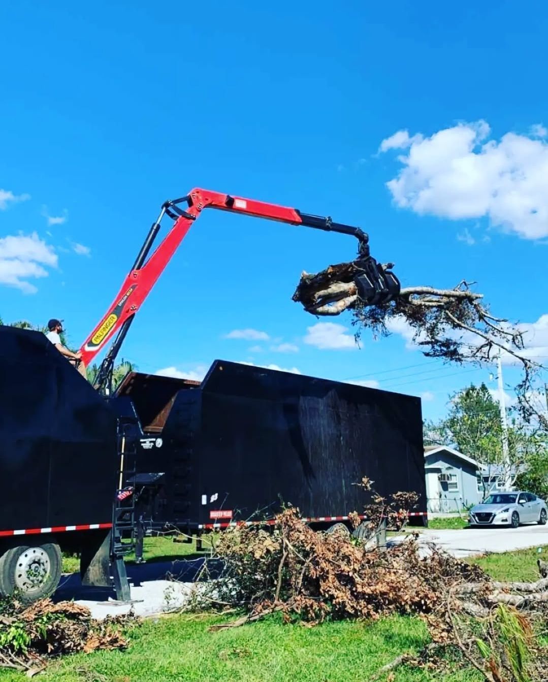 A crane is lifting a tree branch from a truck.