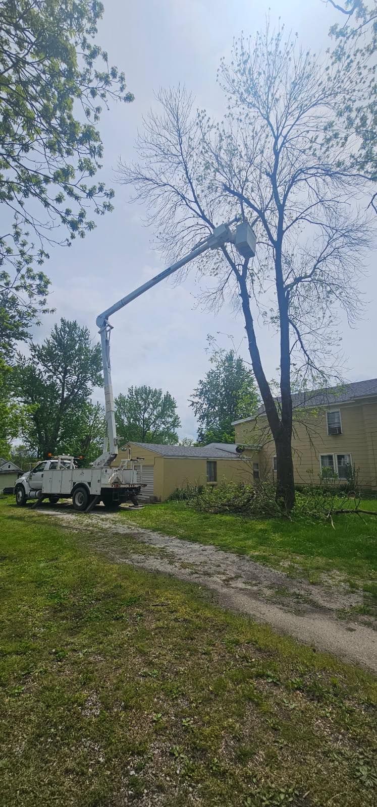 A crane is cutting a tree in a yard.
