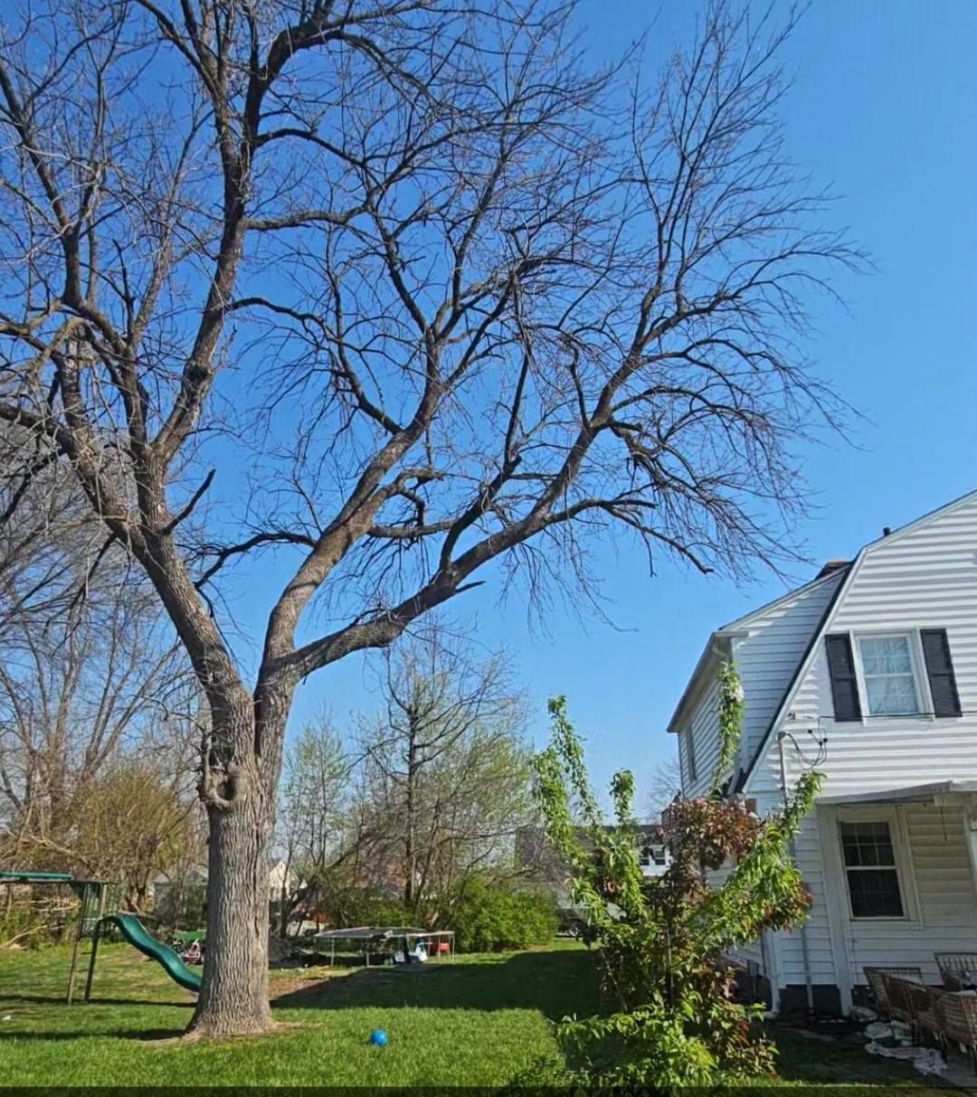 A white house with a tree in front of it