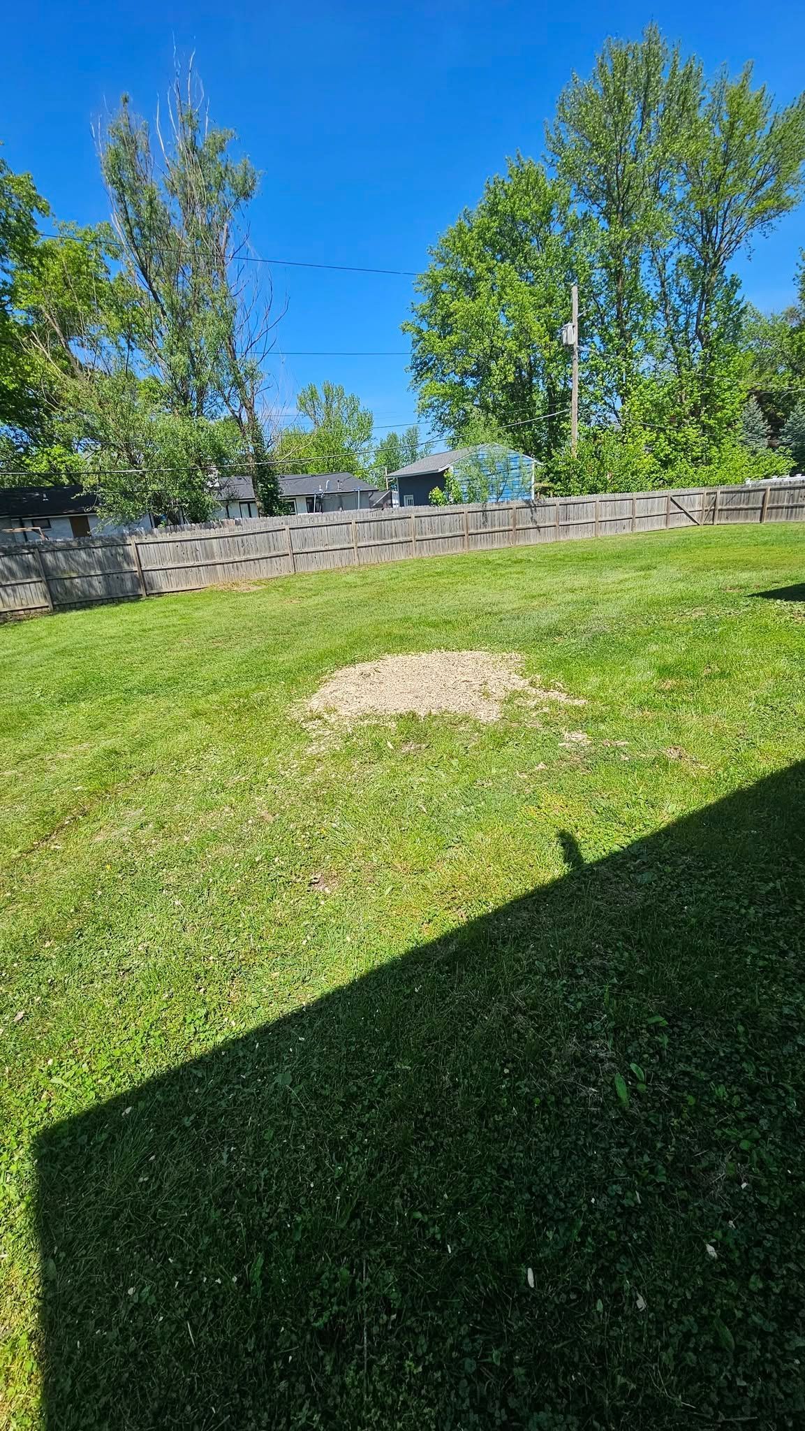 A shadow of a person is cast on a lush green lawn.