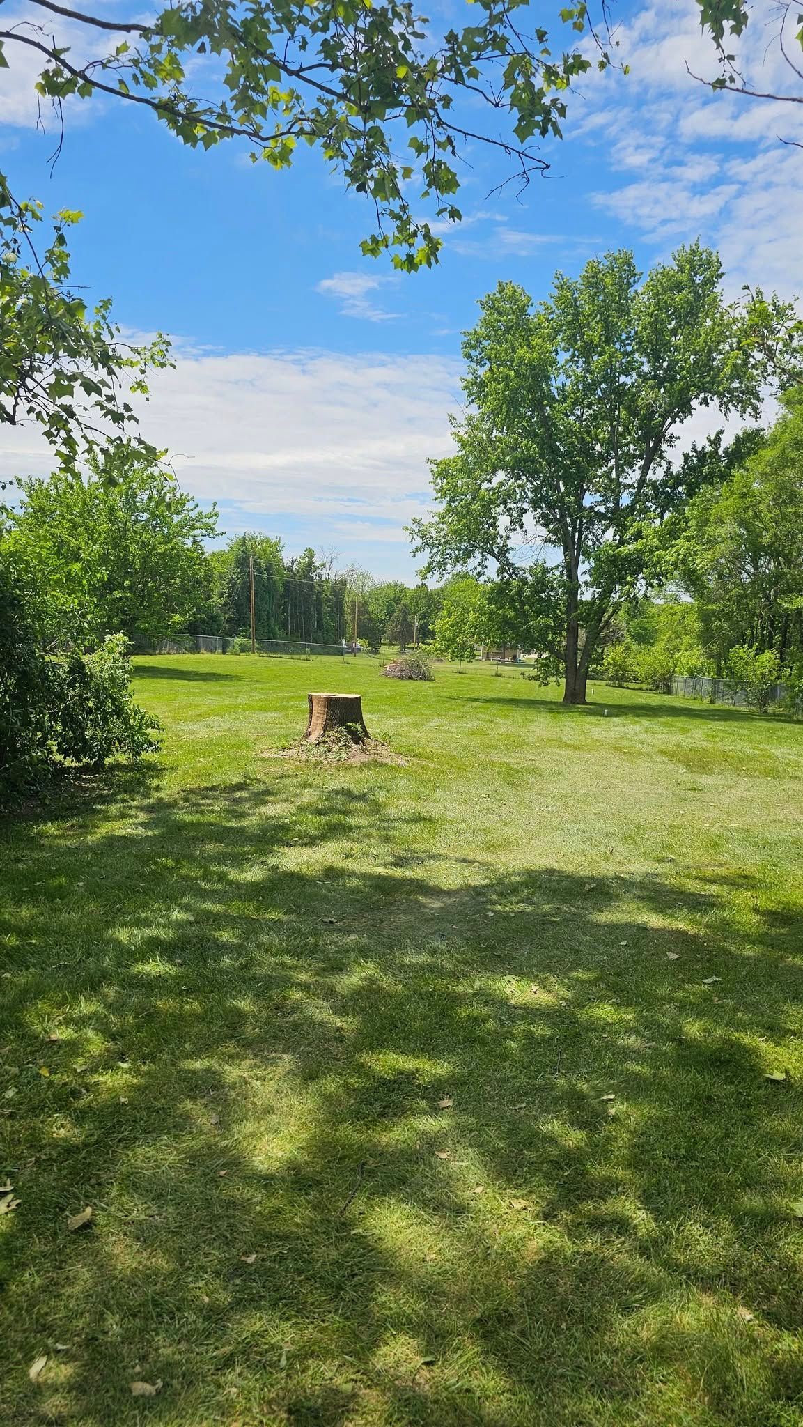 There is a stump in the middle of a grassy field.