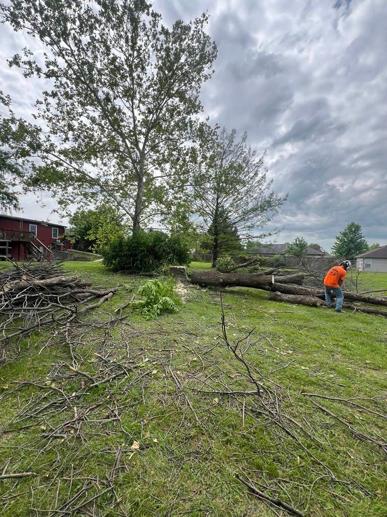 A man is cutting a tree in a field with a chainsaw.