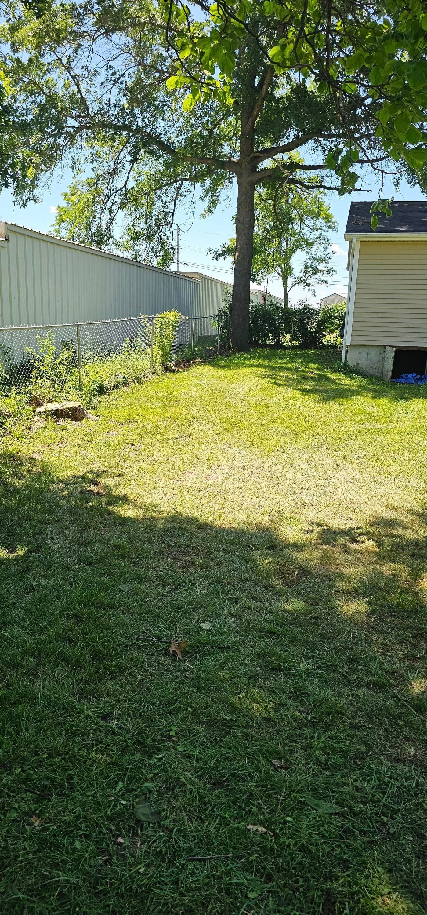 A backyard with a white fence and a tree in the middle of it.