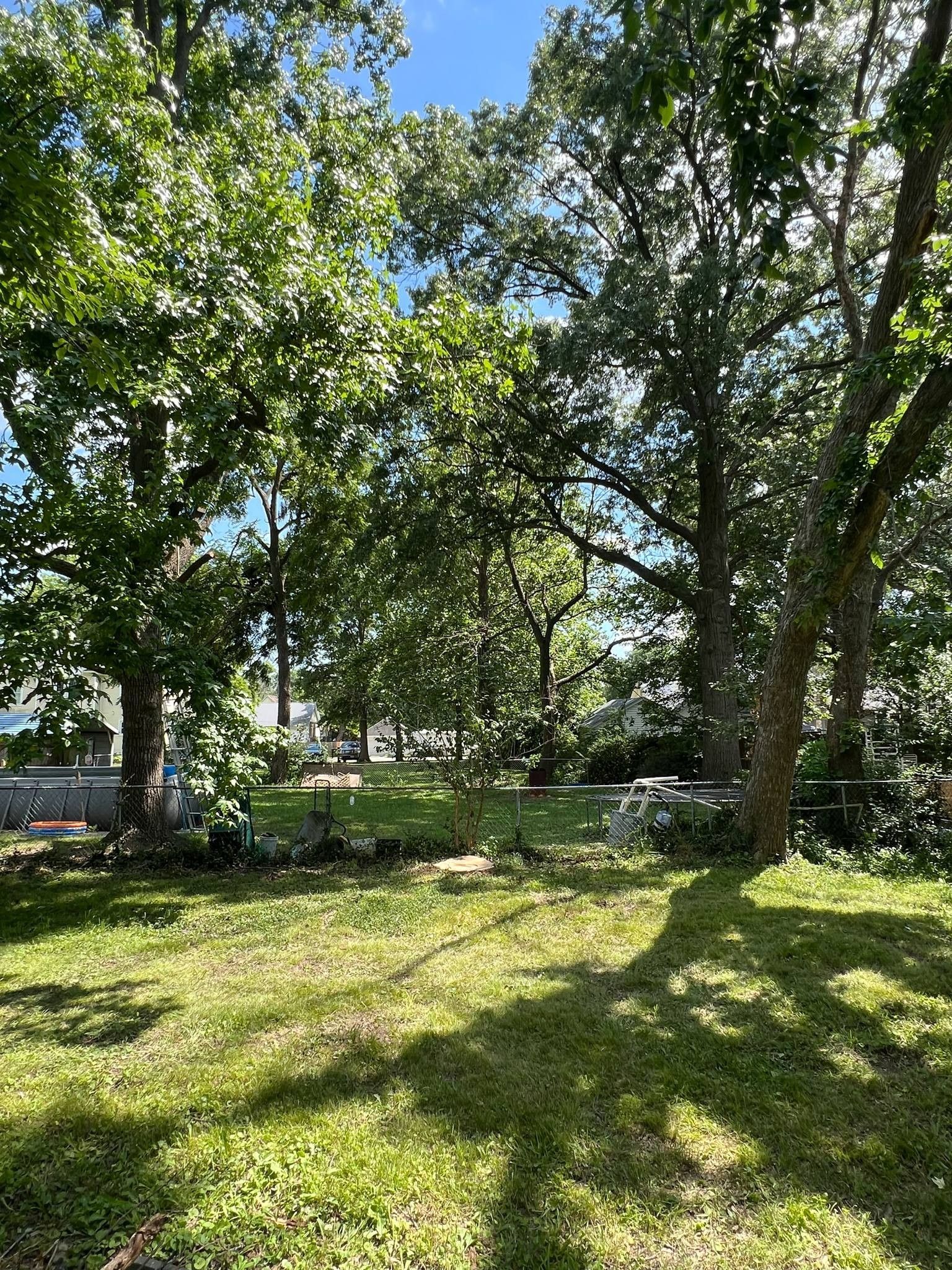 A lush green field surrounded by trees on a sunny day.